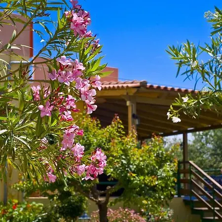 Chrissas Apartments Rethymno  Exterior photo